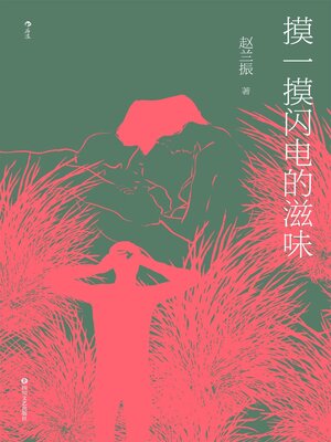 cover image of 摸一摸闪电的滋味